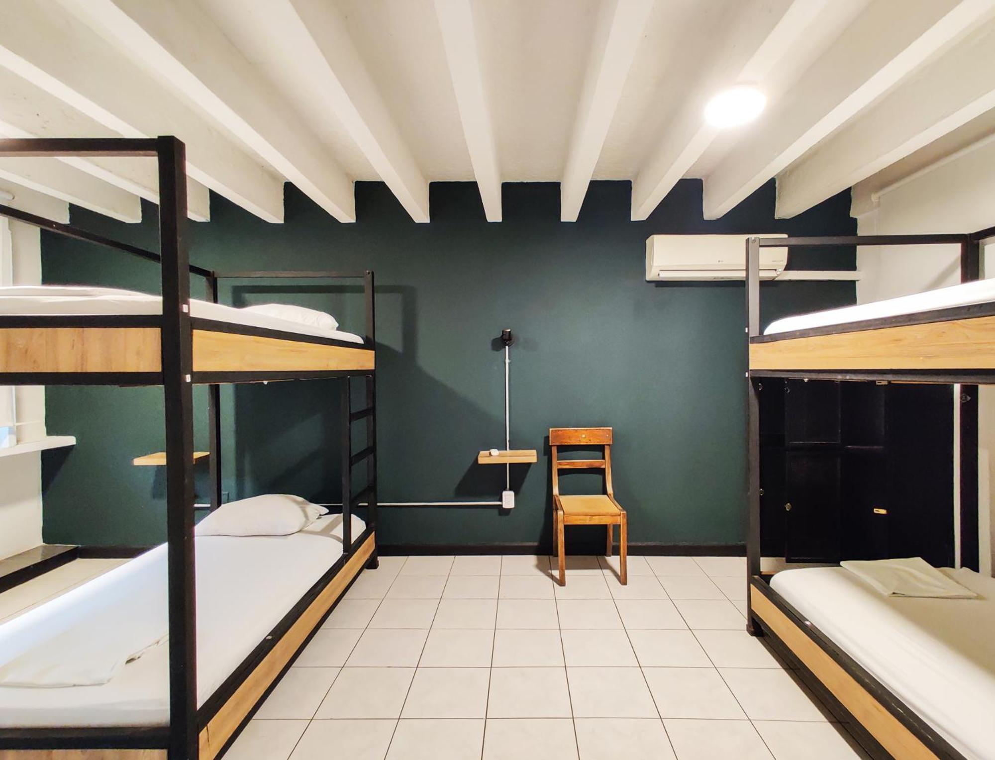 Zamia Hostel ブカラマンガ エクステリア 写真